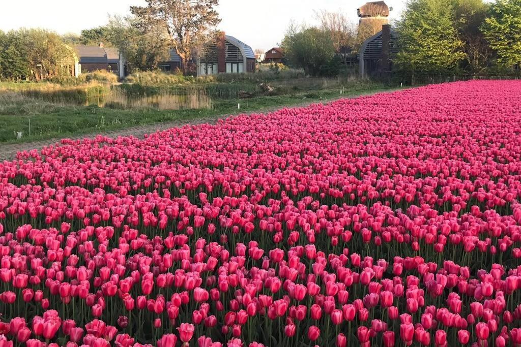 Villa Klein Geluk Egmond aan Zee Luaran gambar